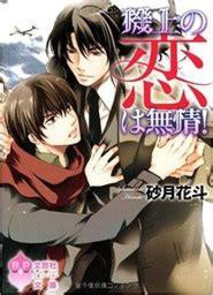 騎乗 位 と は？意味・種類・注意点をわかりやすく整理