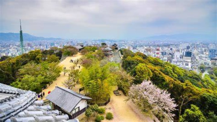 ルシール 松山とは何か 現地で知っておきたい特徴と利用のポイント