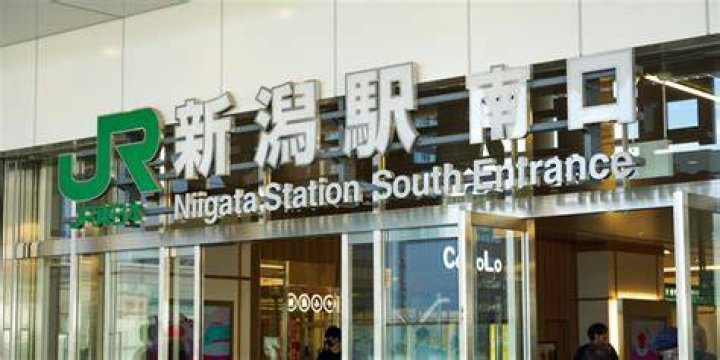新潟駅から東京駅まで：鉄道の所要時間・乗り換え・便利な選び方